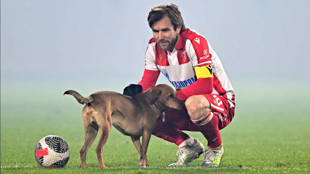 ФОТО: М. Ивановић