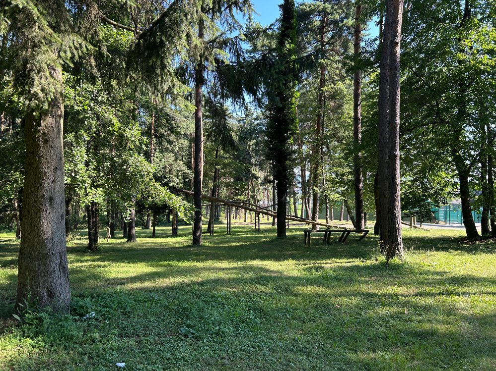 Priroda-4.jpg