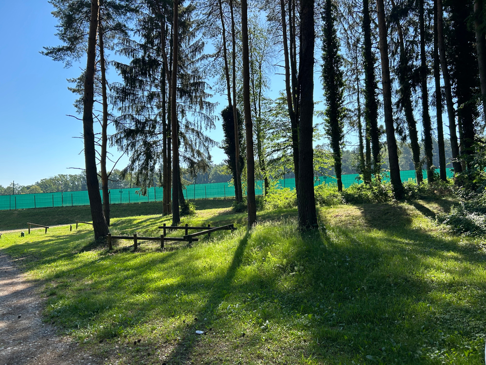 Priroda-5.jpg